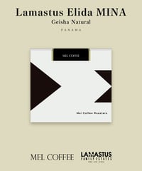 100g Panama Lamastus Elida Geisha Natural MINA