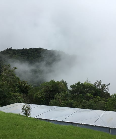 【coming soon】200g Panama Finca Deborah Geisha Nitrogen Natural Lot Nirvana