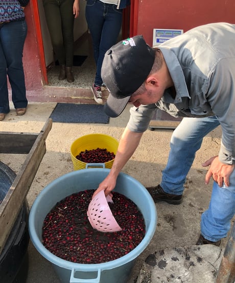 100g Colombia La Maria Geisha Natural