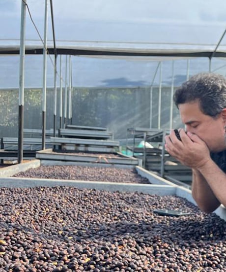 200g Panama Altieri Geisha Washed Lot ALE