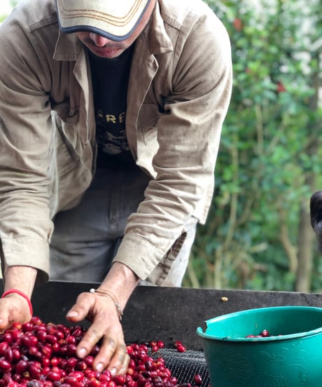 100g Colombia La Maria Geisha Natural