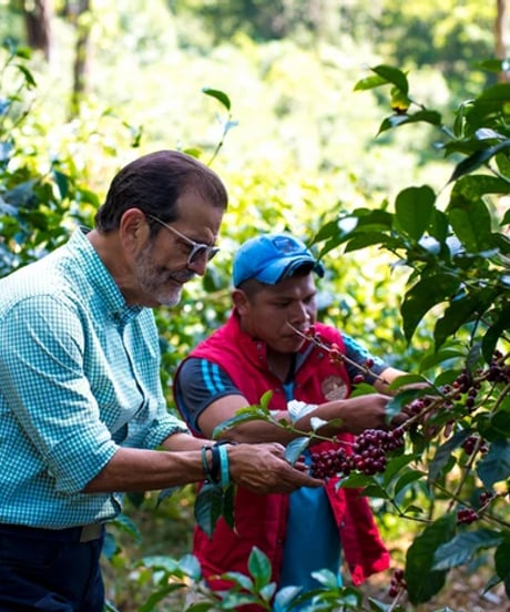 100g Panama Auromar Geisha Natural