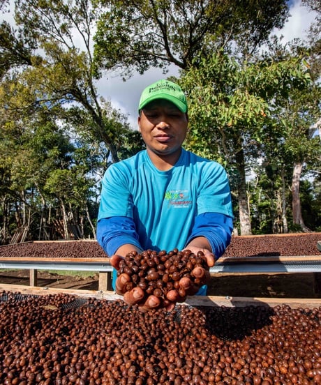 100g Panama Hartmann Geisha Natural Lot59 Manantial