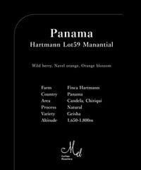 100g Panama Hartmann Geisha Natural Lot59 Manantial