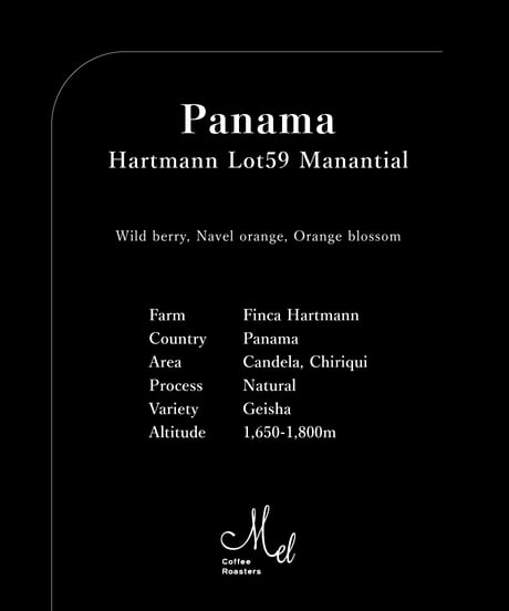 100g Panama Hartmann Geisha Natural Lot59 Manantial