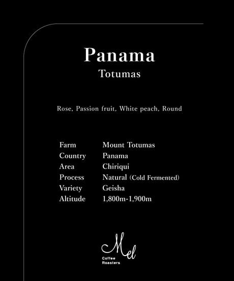 100g Panama Totumas Geisha Natural Cold Fermented