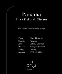 100g Panama Finca Deborah Geisha Nitrogen Natural Nirvana