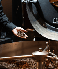 COFFEE OMAKASE - M