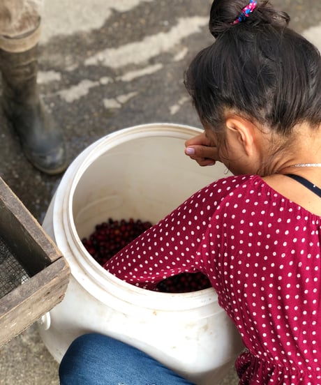 100g Colombia La Maria Geisha Natural