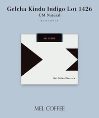 200g Ethiopia Gelcha Kindu CM Natural Indigo Lot 1426