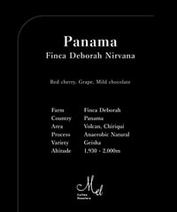 100g Panama Finca Deborah Geisha Anaerobic Natural Nirvana