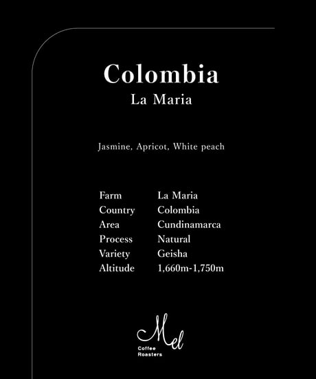 100g Colombia La Maria Geisha Natural