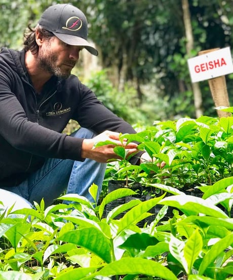 【coming soon】200g Panama Finca Deborah Geisha Nitrogen Natural Lot Nirvana