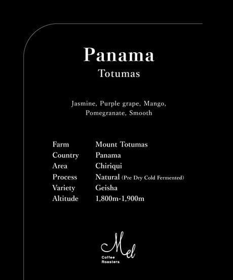 100g Panama Totumas Geisha Natural Pre Dry Cold Fermented