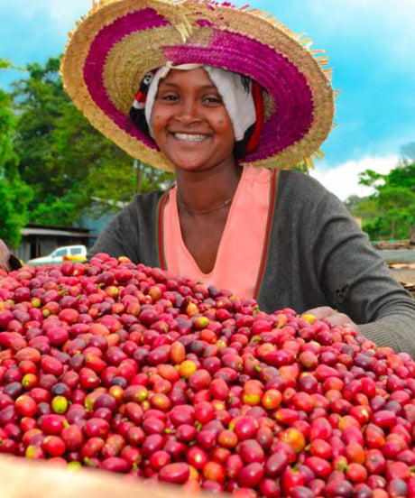 200g Ethiopia Benchi Maji Karmachi 10days CM Natural