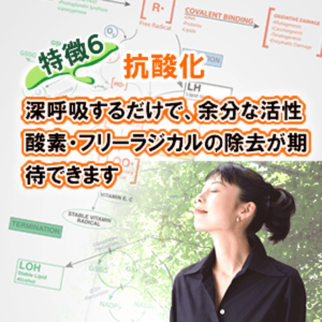 フィトンチッド配合 消臭・除菌・抗菌剤 フォレスティ 詰替用5L