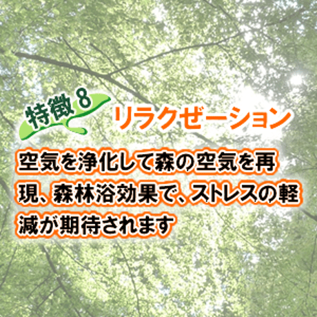 フィトンチッド配合 消臭・除菌・抗菌剤 フォレスティ 詰替用5L