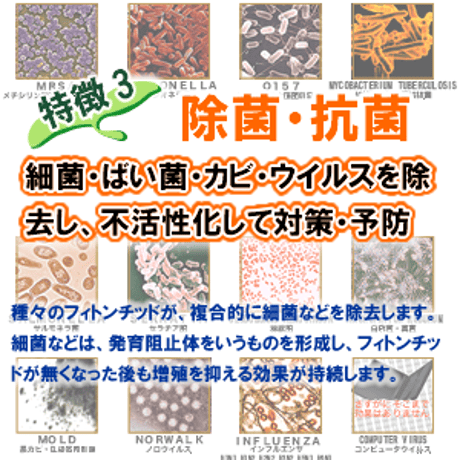フィトンチッド配合 消臭・除菌・抗菌剤 フォレスティ 詰替用5L