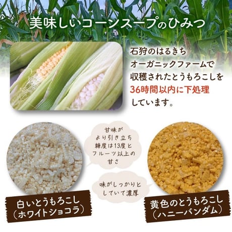 はるきちオーガニックファームの野菜で作る（コーンスープ入り）冷凍スープセット