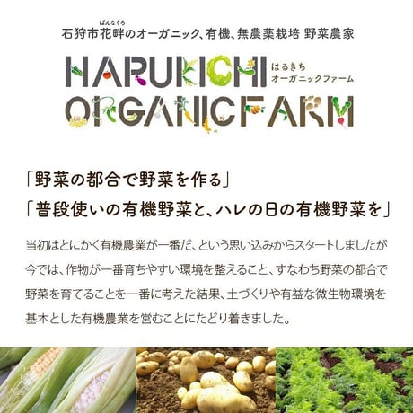 はるきちオーガニックファームの野菜で作る（コーンスープ入り）冷凍スープセット