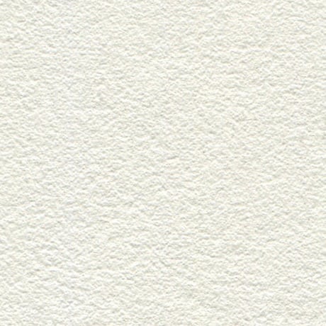 PALE TONE （本革）  - WHITE
