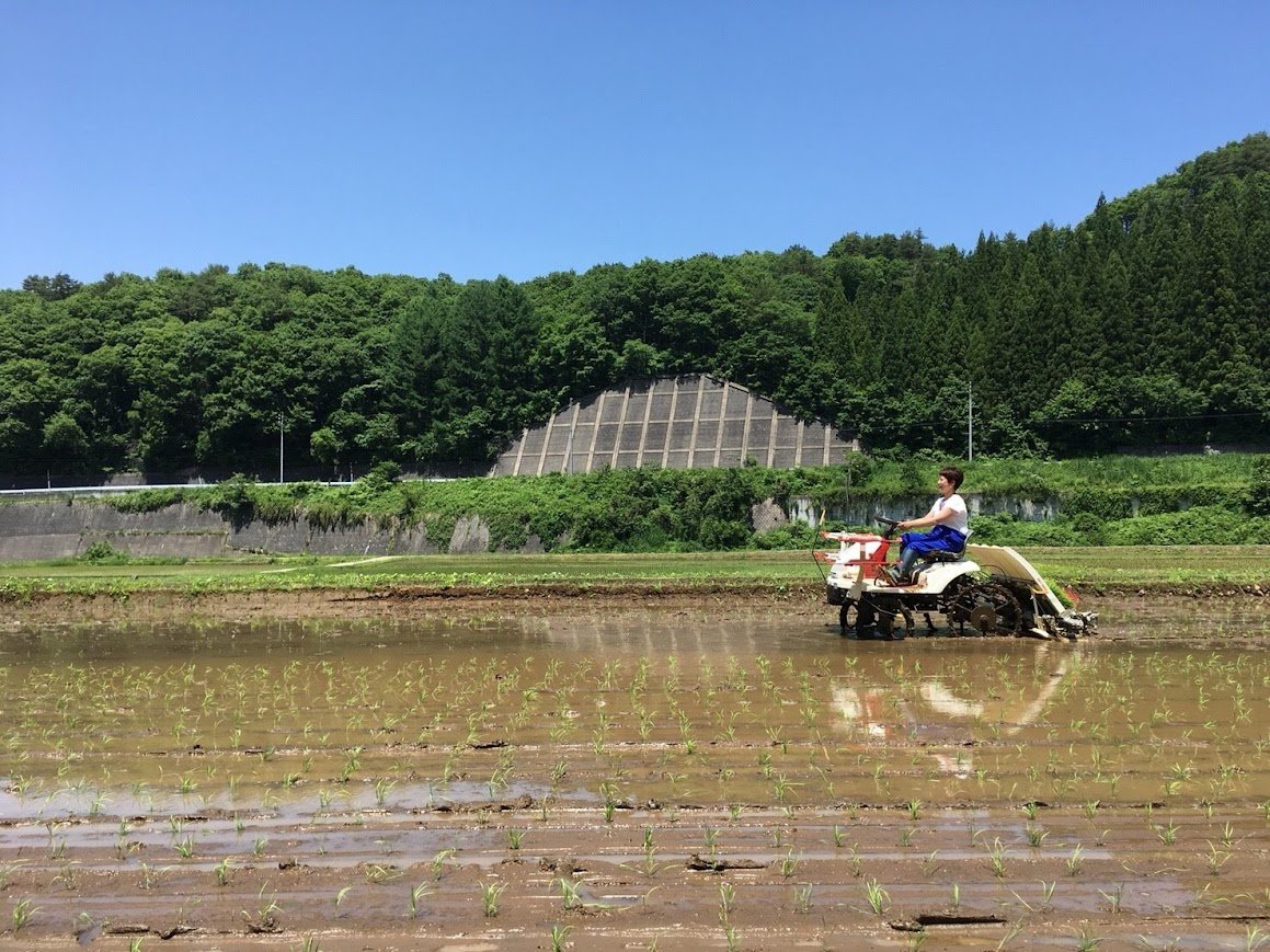 発送について