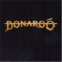 Bonaroo / Bonaroo