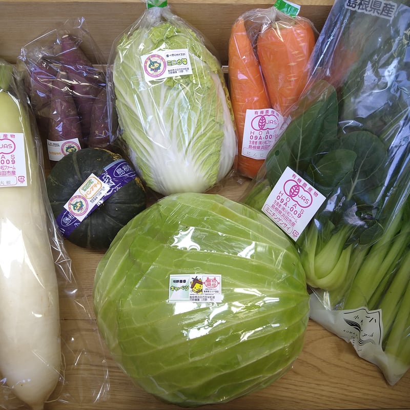 旬の野菜セット (厳選8品～10品程度） | 秘境 奥島根 弥栄