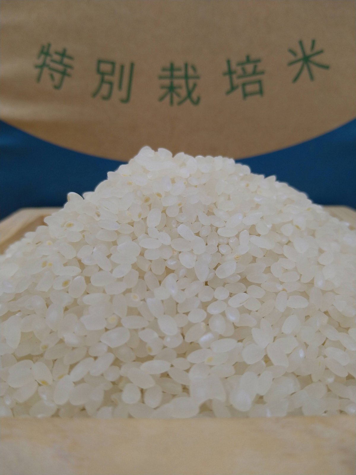 特別栽培米 秘境奥島根弥栄 つや姫 （7割減）2kg 【stores、浜田市 