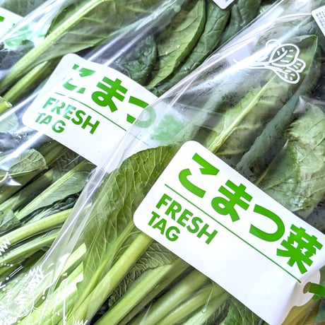 小松菜 | STORES