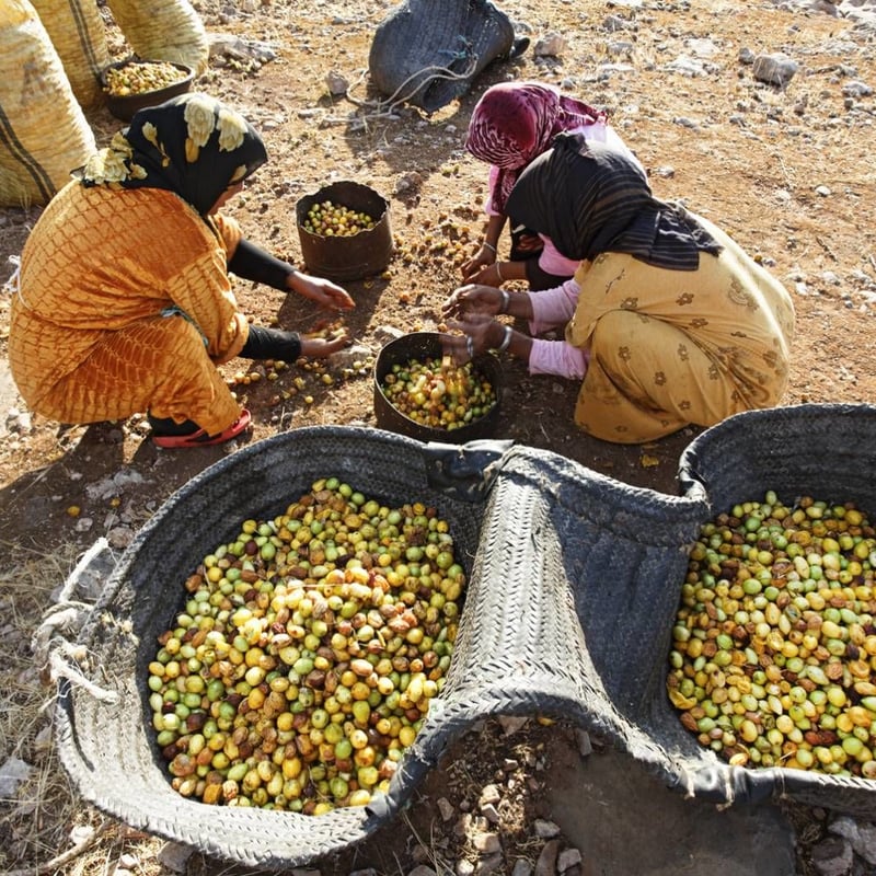 アルガンセットARGAN SETモロッコなの涙 限定セット定価約4万円で半額以下 アルガンセットARGAN SETモロッコなの涙 限定セット定価約4で