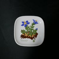 Langenthal（ランゲンタール）オトメギキョウの小皿