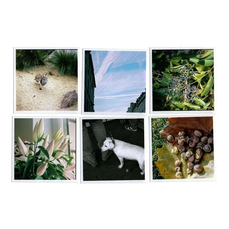"Shiver" Photo set