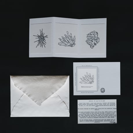 Two type Bellow paper