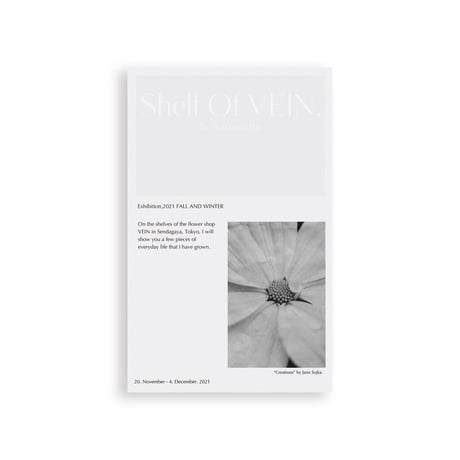 Shelf Of VEIN Card set