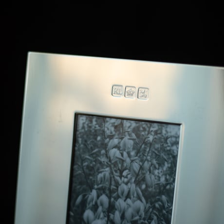 Vintage silver framed photography