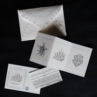 Two type Bellow paper