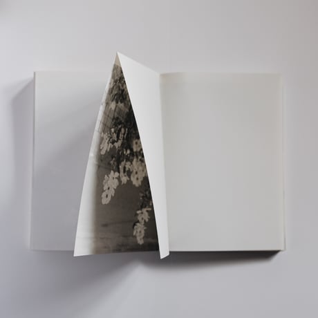 Instinto - side notes