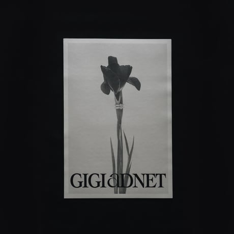 GIGIADNET: MM PRO tabloid poster