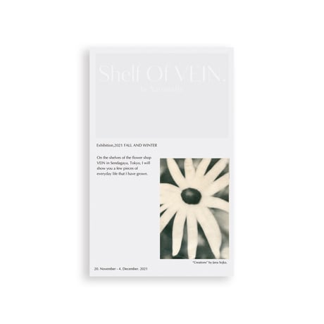 Shelf Of VEIN Card set