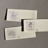 Museum exhibits.  Envelope set
