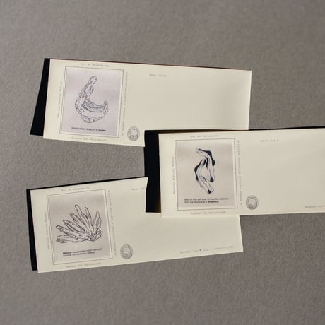 Museum exhibits.  Envelope set