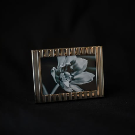 Vintage silver framed photography