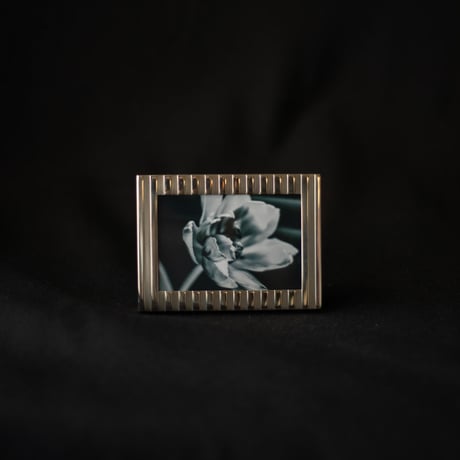Vintage silver framed photography