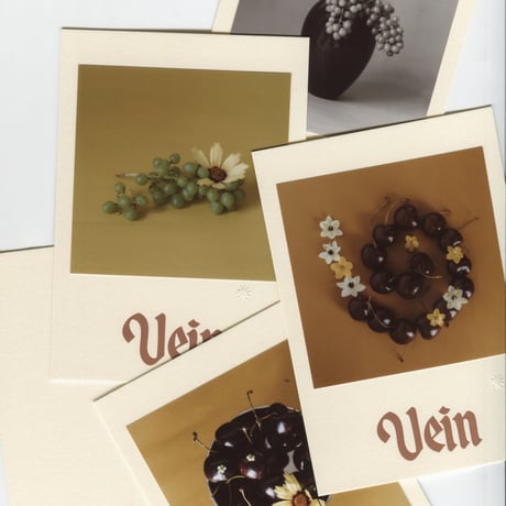LESSON Class Postcard set