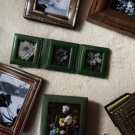 Vintage silver framed photography