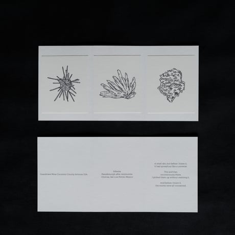Two type Bellow paper