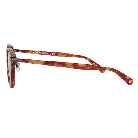 BLACK FLYS - FLY VINCENT - BEIGE HAVANA / GREY