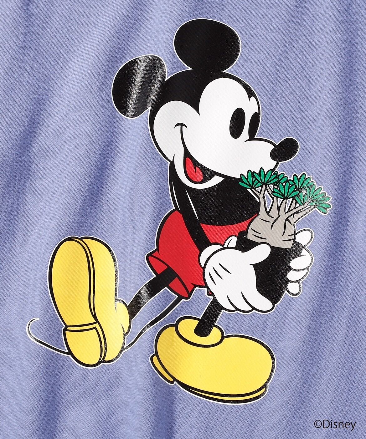 コーデックス＞ミッキーマウス ／ YOSHIDAROBERTO／DISNEY