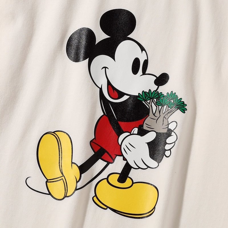 ミッキー コーデックス＞ミッキーマウス ／ YOSHIDAROBERTO／DISNEY